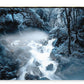 Frozen Forest - Zip Pouch