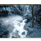 Frozen Forest - Zip Pouch