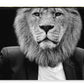 Lion Suit - Zip Pouch
