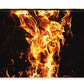 Phoenix Fire - Zip Pouch